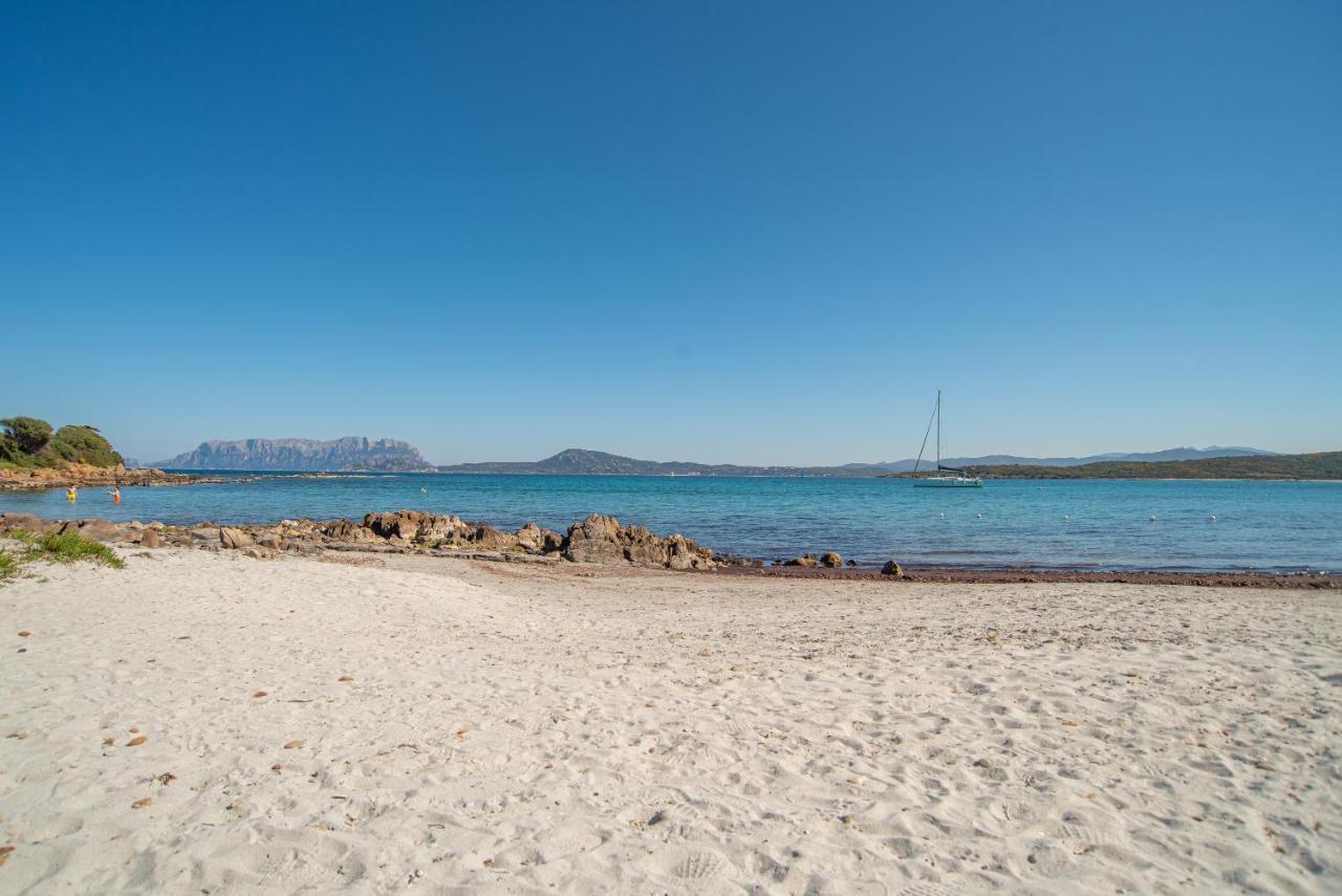 Sole Mare Villa ออลเบีย ภายนอก รูปภาพ